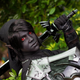 Illustration for article titled The Best Of Last Weeks Cosplay: Hitman, Dark Link, Mononoke Freakin Wind Waker